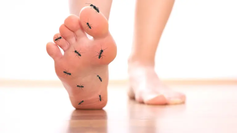 Polyneuropathie: Wenn Ameisen über die Füße laufen | Foto: koszivu – stock.adobe.com