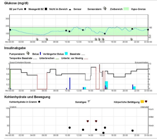 MiniMed 640G - Tagesübersicht 15. Juni 2015