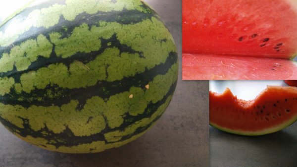 Collage_Wassermelone_BSL