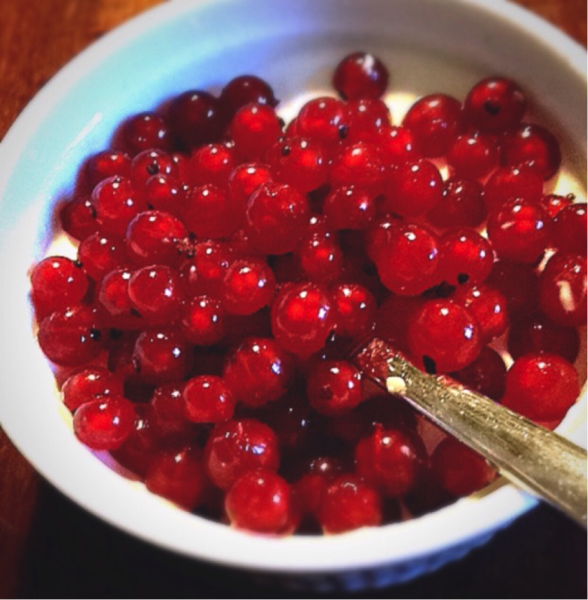 Johannisbeeren