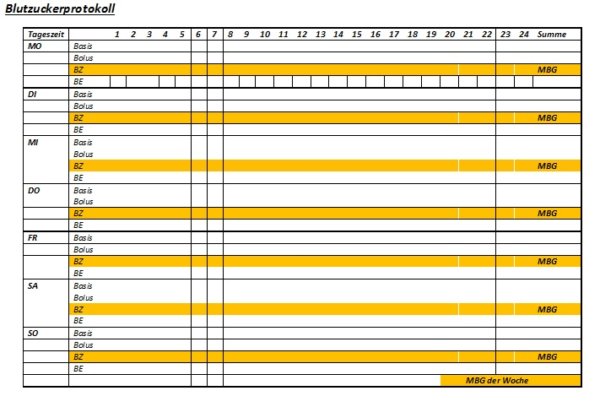 Bild 4_Blutzuckerprotokoll