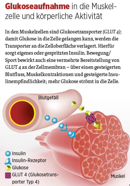 Diabetes-Journal - 8/2014 unter Verwendung von fotolia.com