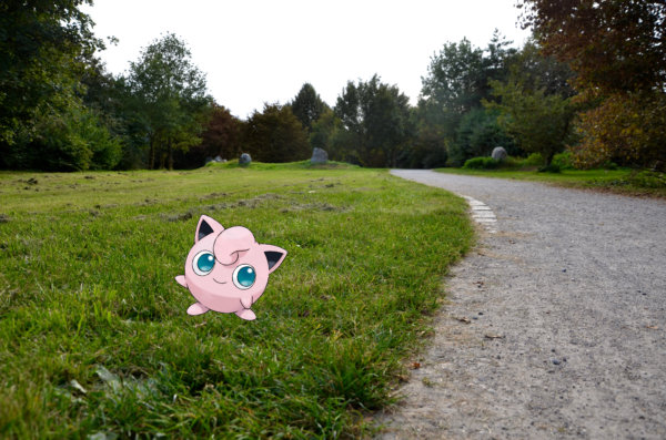 Pokemon auf Wiese