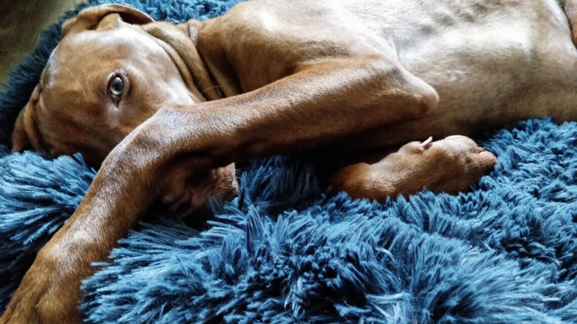 Oskar hält sich mit dem Bein die Nase zu