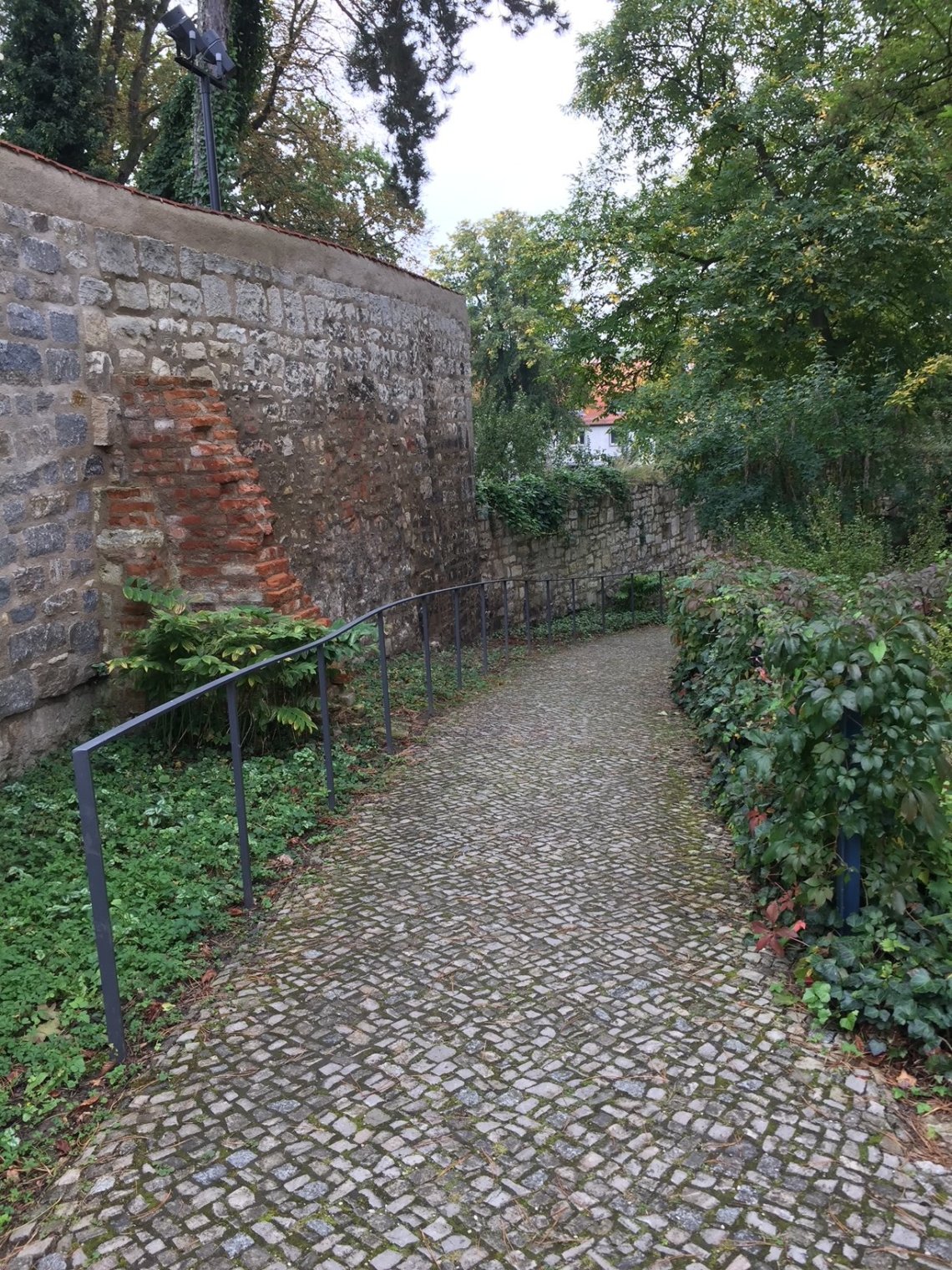 Motivfoto Abbildung eines Weges mit  dem Text den eigenen Weg gehen 