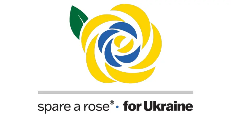 Rose sparen, Leben retten: „Spare a Rose“-Aktion für Menschen mit Diabetes in der Ukraine | Foto: Spare a Rose