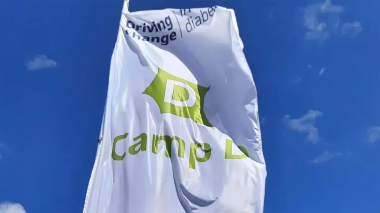 Eine wehende Fahne mit dem Logo von Camp D vor einem blauen Himmel.