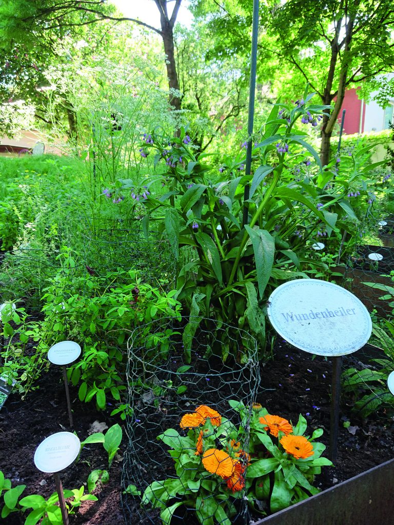 Der Diabetes-Garten im DGD-Krankenhaus Sachsenhausen in Frankfurt am Main.