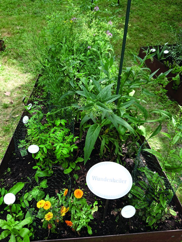 Der Diabetes-Garten im DGD-Krankenhaus Sachsenhausen in Frankfurt am Main.