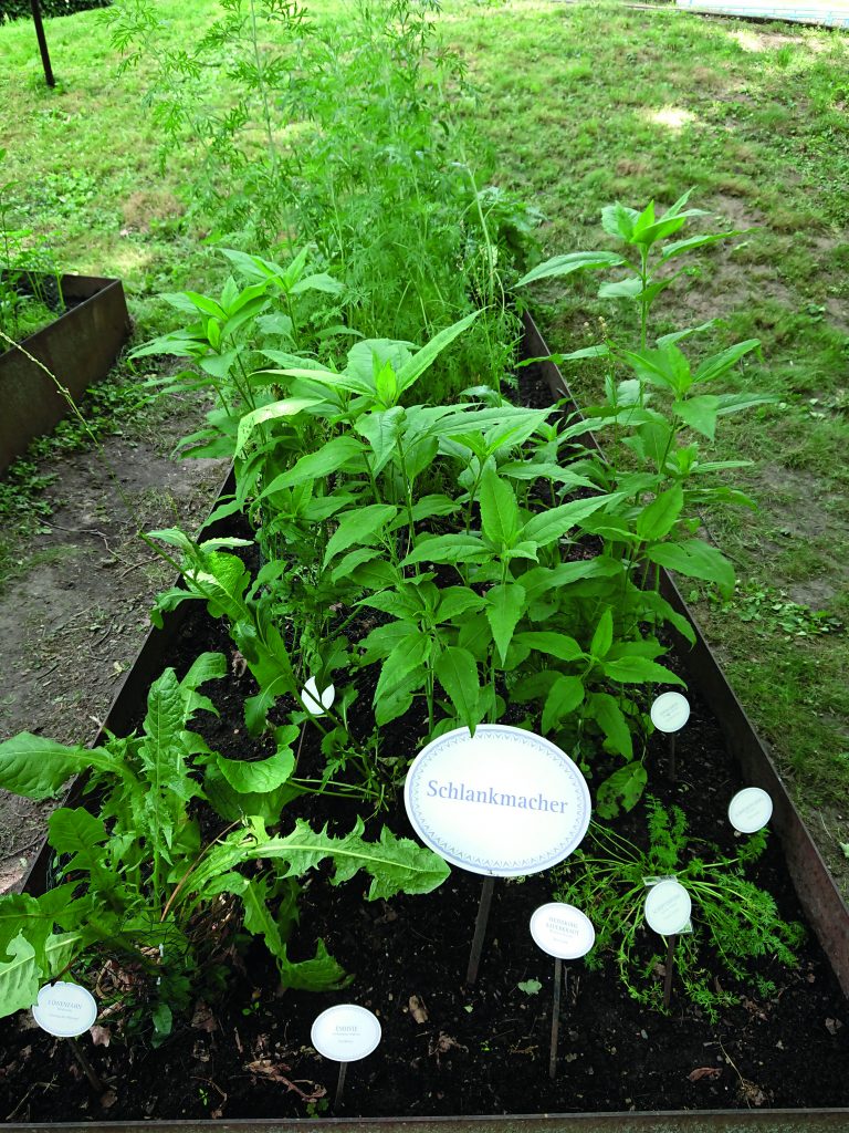 Der Diabetes-Garten im DGD-Krankenhaus Sachsenhausen in Frankfurt am Main.