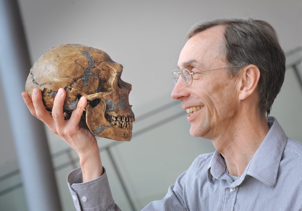 Nobelpreis für Paläogenetik-Pionier: Wie viel Neandertaler steckt in uns?