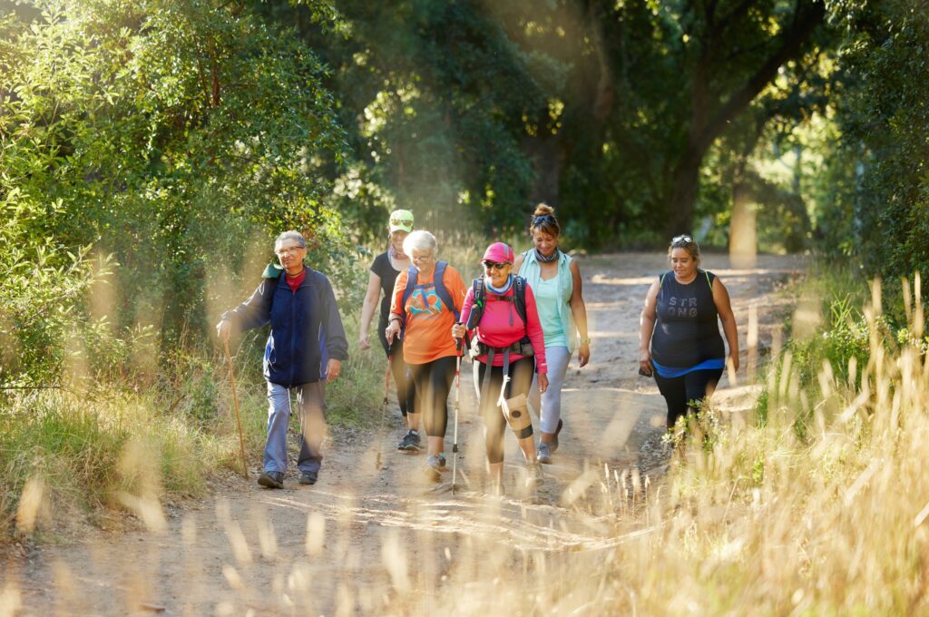 Gesundheitswandern im Pfälzer Wald für Menschen mit Typ-2