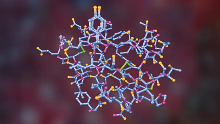 Arten und Anwendung: Insulin-Behandlung heute | Foto: Dr_Microbe – stock.adobe.com