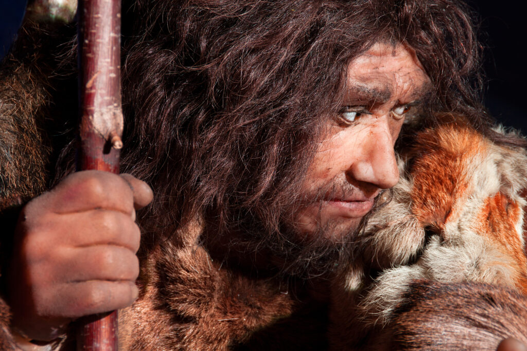 Forschung: Haben wir das Fettleber-Gen von den Neandertalern geerbt?