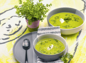 Rezept für Cremige Abendsuppe Gartengrün