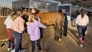 Reitercamp für Kinder und Jugendliche im Alter von 8 bis 16 Jahren