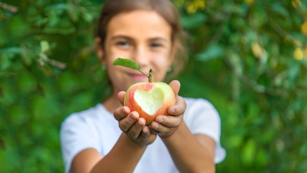 Gesund und lecker essen – aber wie? | Foto: yanadjan - stock.adobe.com