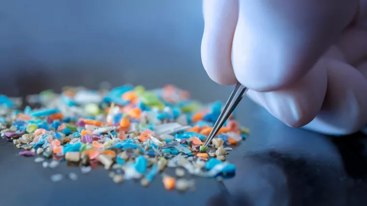 Gefährliches Mikroplastik: Welche Auswirkungen Kunststoffe auf Gesundheit und Umwelt haben | Foto: SIV Stock Studio – stock.adobe.com