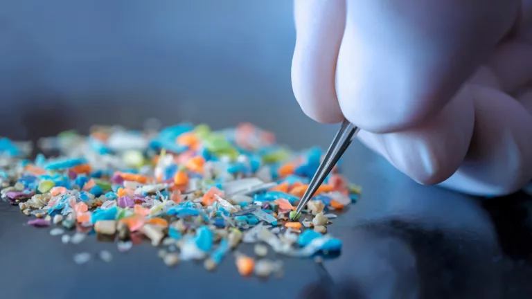Gefährliches Mikroplastik: Welche Auswirkungen Kunststoffe auf Gesundheit und Umwelt haben | Foto: SIV Stock Studio – stock.adobe.com