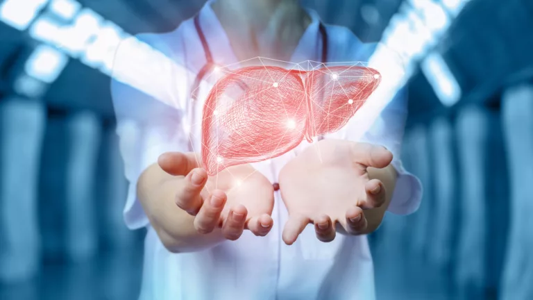 Wie die Leber ihr Fett wegkriegt: DDB fördert MOCA-Studie zu Fettleber und Typ-2-Diabetes | Foto: natali_mis - stock.adobe.com