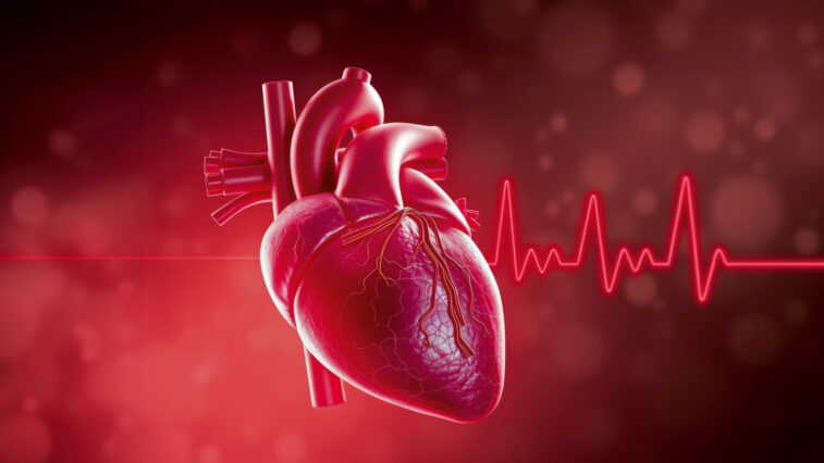 Herzrhythmus-Störungen: Wenn das Herz aus dem Takt gerät | Foto: AdobeStock – stock.adobe.com