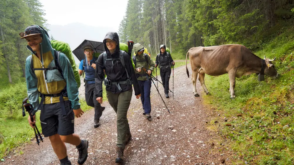 Mit Typ-1-Diabetes in die Alpen – Mit Regen muss man in den Alpen rechnen – aber auch mit schönen Begegnungen wie weidende Kühe. | Foto: Mike Fuchs Fotografie