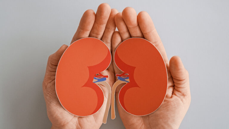 Diabetische Nephropathie: Die Nieren bei Diabetes im Auge behalten | Foto: SewcreamStudio - stock.adobe.com