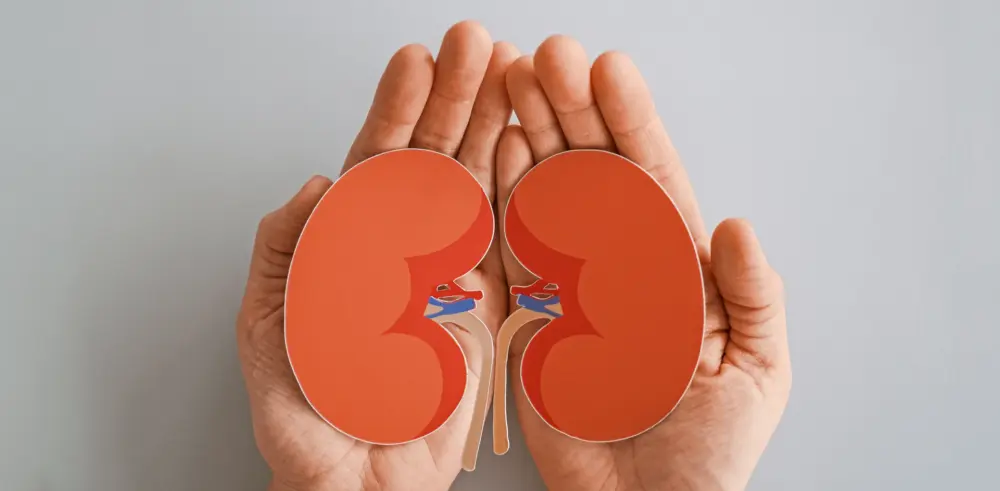 Nephropathie: Die Nieren im Auge behalten | Foto: SewcreamStudio - stock.adobe.com