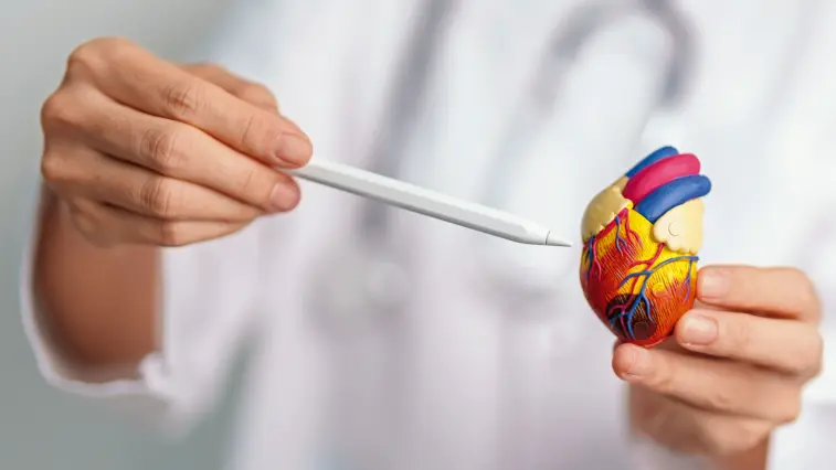 Atherosklerose behandeln: Enzym-Infusion bei Gefäß-Verschlüssen – alte Therapie neu entdeckt | Foto: Jo Panuwat D - stock.adobe.com