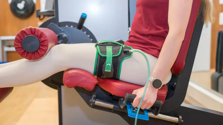 Spezielles Krafttraining mit geringeren Gewichten stärkt Muskelgesundheit und Stoffwechsel bei Typ‑2‑Diabetes | Foto: Deutsches Diabetes‑Zentrum (DDZ)