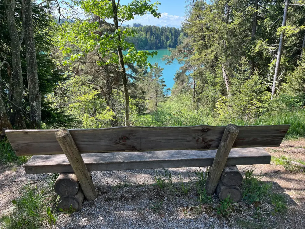 Herrliche Landschaften entlang des Weges: hier ein Blick auf den Lech | Foto: privat