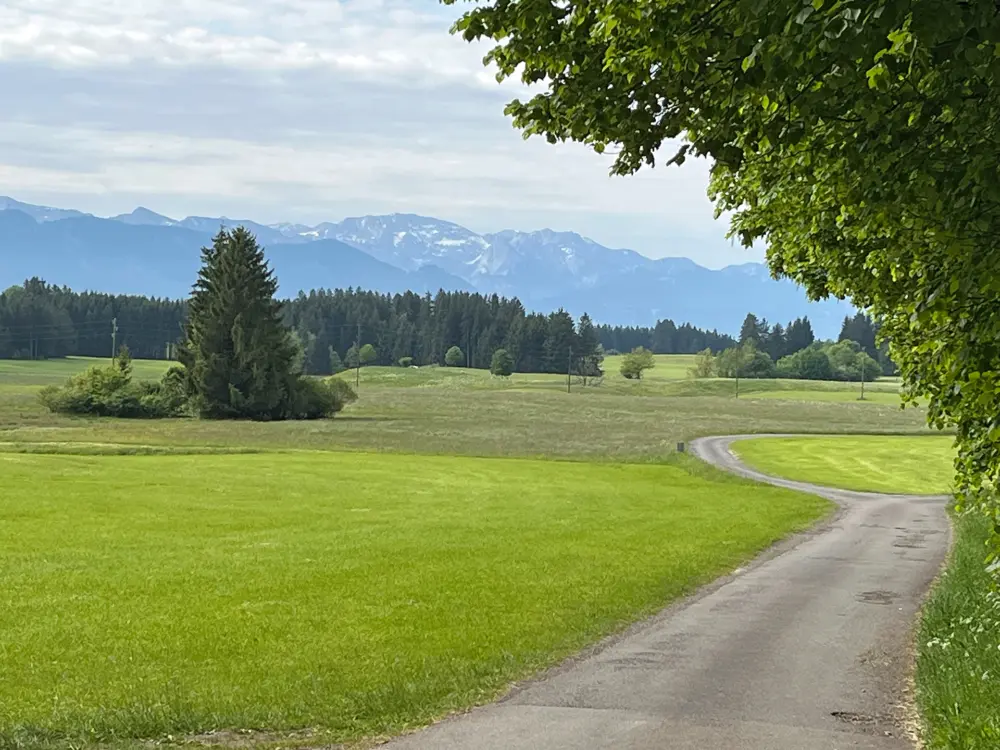 Bei der Wandertour ging es durch viel Natur – mit Blick auf das Alpen-Panorama bei Burggen. | Foto: privat