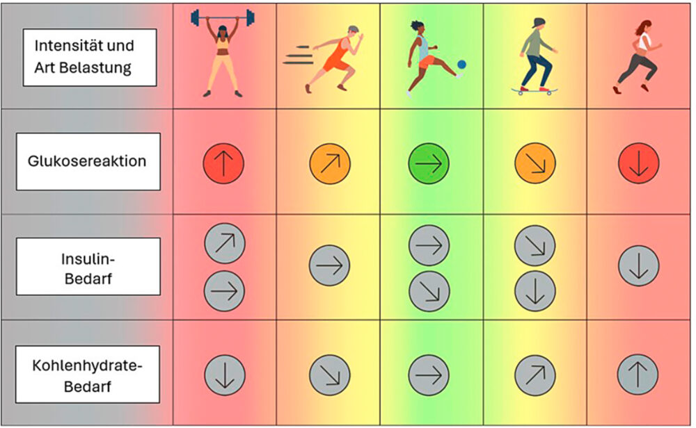 Serie „Sportlich leben mit Typ-1-Diabetes“ – Teil 1: Was passiert bei Sport in unserem Körper? | Grafik zeigt die Auswirkungen unterschiedlicher Aktivitäten auf die Körperfunktionen
