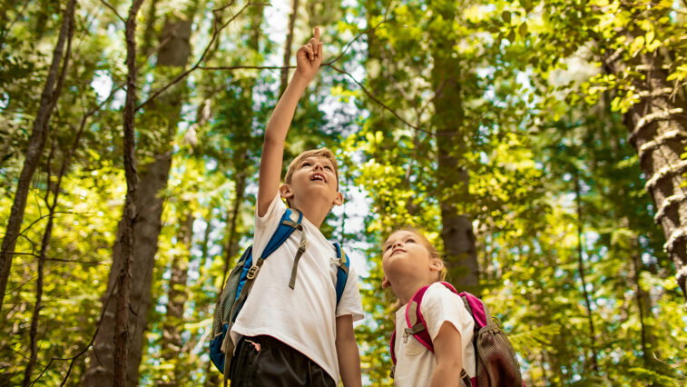 Sportlich leben mit Typ-1-Diabetes – Teil 2: Praxisnahe Tipps für Bewegung | Foto: kieferpix – stock.adobe.com