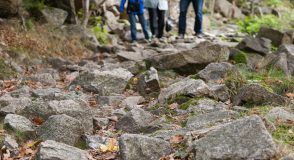 Dranbleiben: Wenn der Weg steinig wird | Foto: dk-fotowelt – stock.adobe.com
