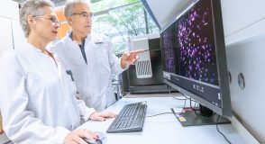 Die beiden Forschenden Professorin Dr. Verena Peters und Professor Dr. Claus P. Schmitt stehen in weißen Laborkitteln vor einem Computer-Bildschirm und betrachten gemeinsam die Darstellung einer mikroskopischen Zellaufnahme; Prof. Schmidt zeigt auf den Monitor, während Prof. Peters die Maus bedient.