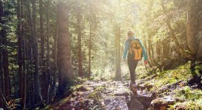 Kooperation mit Veranstalter „Schritt für Schritt“: Lange Märsche auch für Menschen mit Diabetes möglich | Foto: mRGB – stock.adobe.com