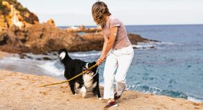 Kontinuierliche Glukose-Messung (CGM) im Fokus: Genaue Werte, Platzierung, Alarme | Foto: mariamontoyart – stock.adobe.com
