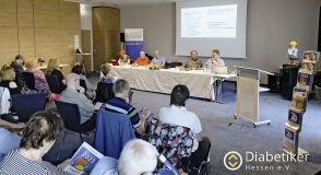 Rückblick: DHE-Mitgliederversammlung in Darmstadt
