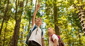 Sportlich leben mit Typ-1-Diabetes – Teil 2: Praxisnahe Tipps für Bewegung | Foto: kieferpix – stock.adobe.com